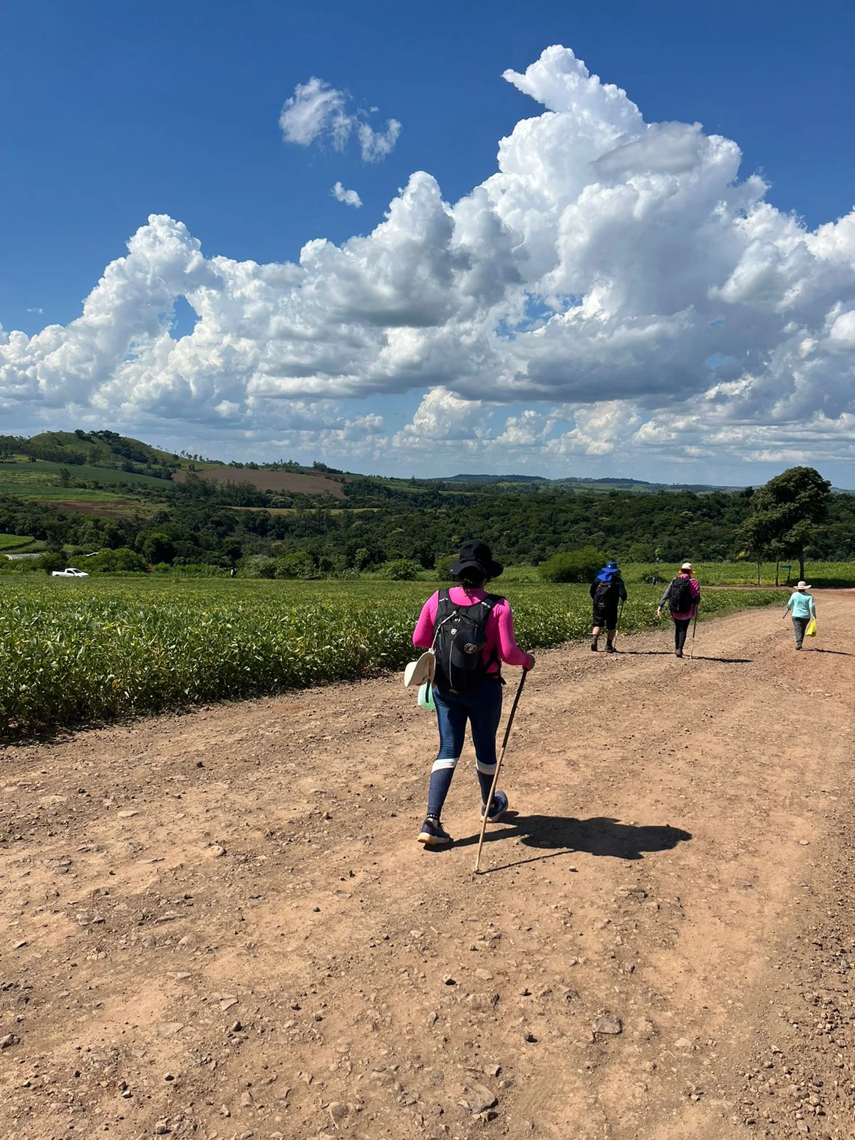 Peregrinos no Caminho